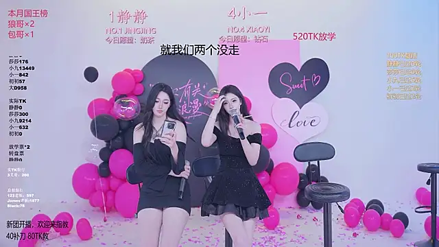 TY-002 webcam