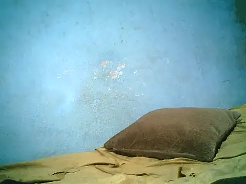 little__joy webcam