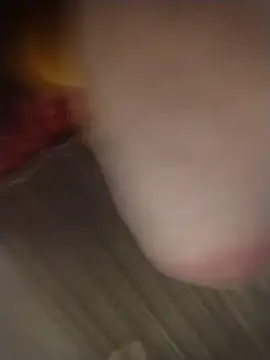 vegonicarouge webcam