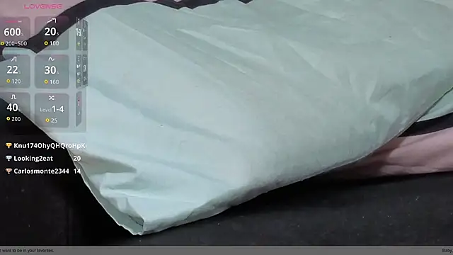 feet_ass webcam