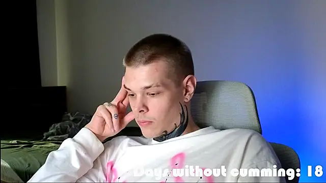 DENIS_HERE webcam