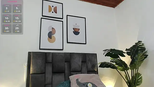 samy_l webcam