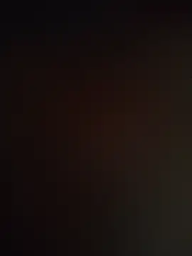 948197 webcam
