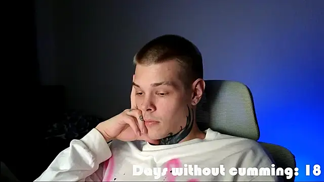 DENIS_HERE webcam