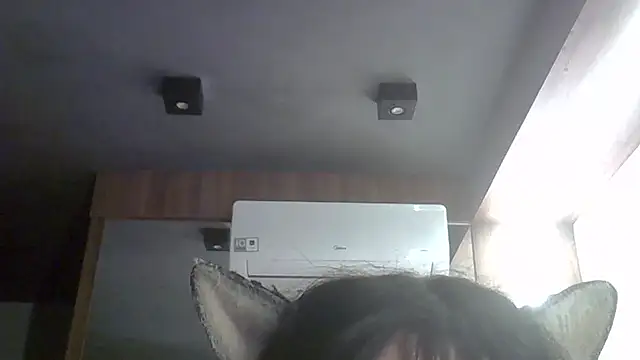 SkinnyKitten webcam