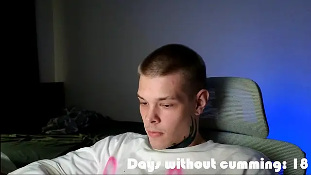 DENIS_HERE webcam