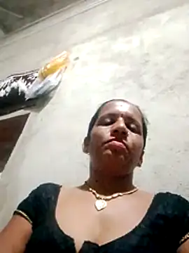 Anitarakkoli webcam