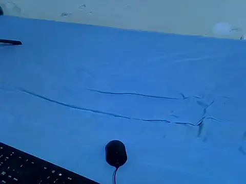 drowllie webcam