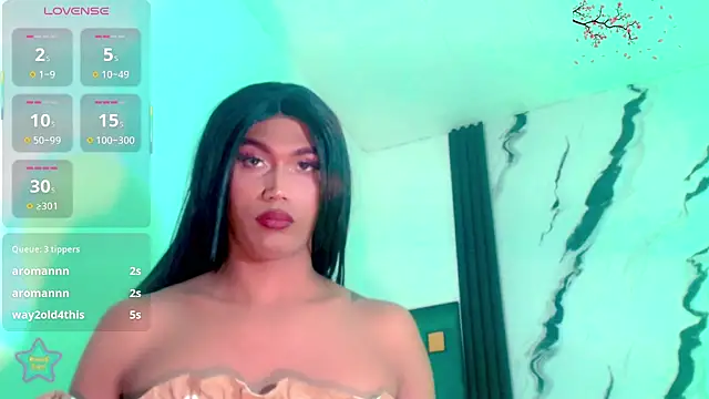 nicol_gill_ webcam