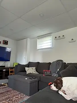 CurvesNChaos webcam