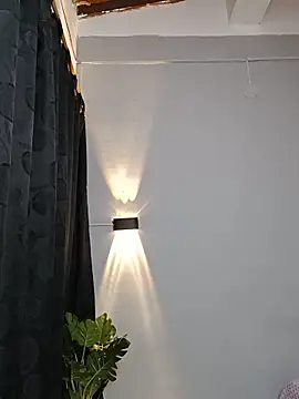 whitney_brown_ webcam