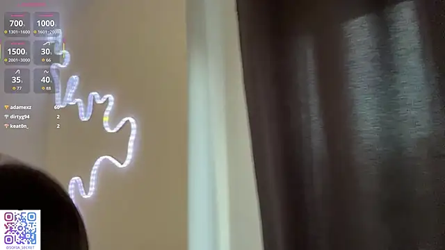 _KARANDASH_ webcam