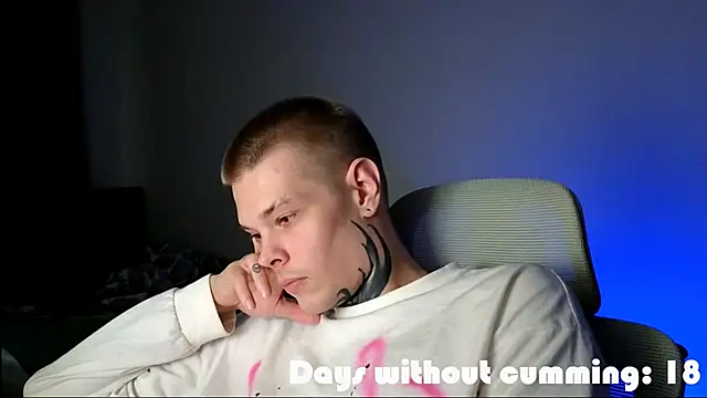 DENIS_HERE webcam