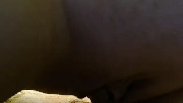 sonyx webcam