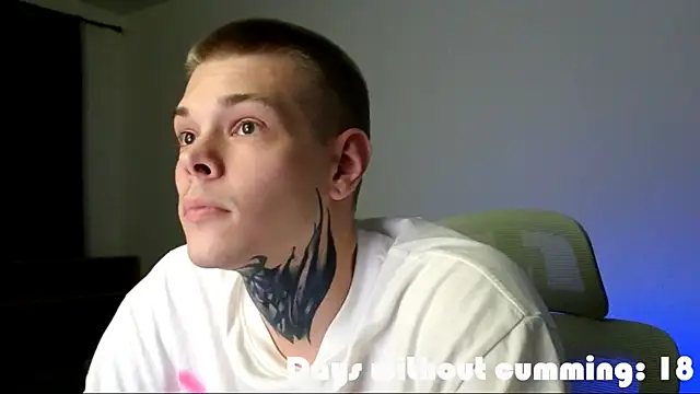 DENIS_HERE webcam