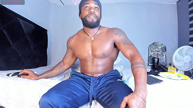 Dancelwashington webcam