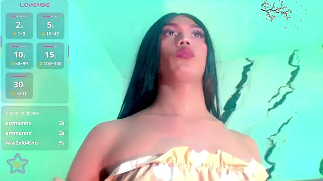 nicol_gill_ webcam