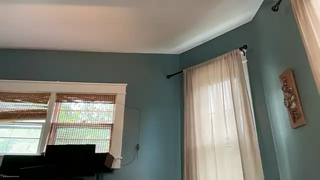 ArtsyCocksy webcam