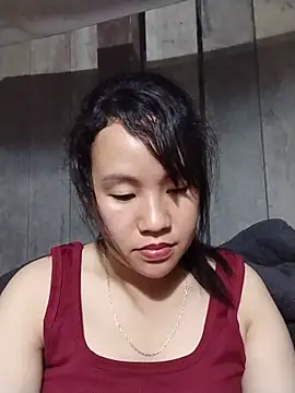 -Nara- webcam