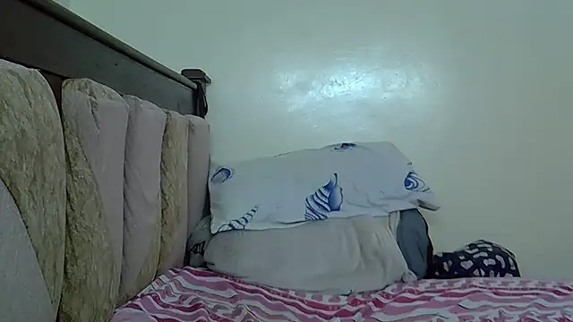 ndibo1523 webcam