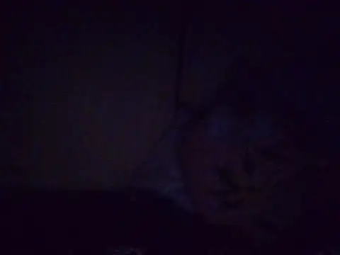 fatpusy002 webcam