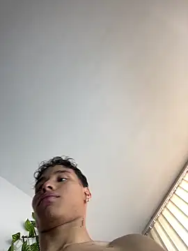 NelModel1 webcam