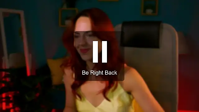 evanellson webcam