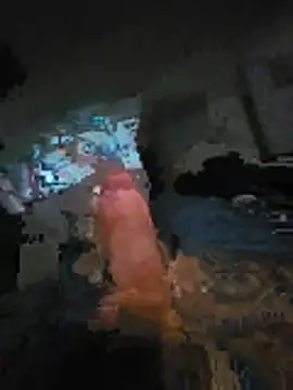 AppositeStutter webcam