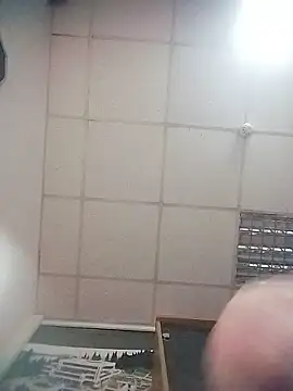 Lana-murr webcam