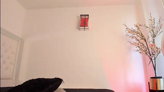 hanna_imp webcam