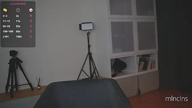 mel_collins webcam