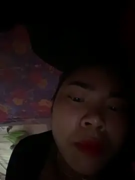 Nul_chal webcam