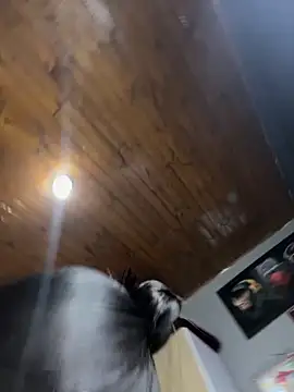 charlotte_stevenss_ webcam