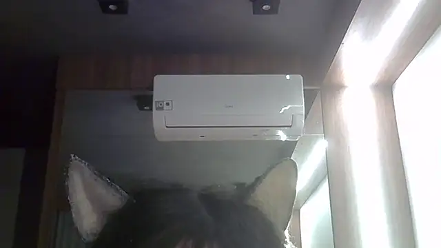 SkinnyKitten webcam