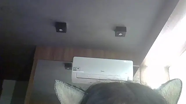 SkinnyKitten webcam