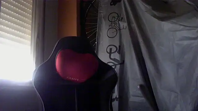 porkorossy webcam