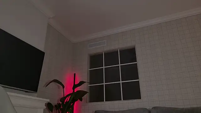 WelliCaren webcam