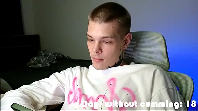 DENIS_HERE webcam