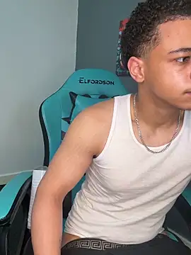 l-laross webcam
