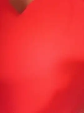 bela14 webcam