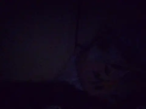 fatpusy002 webcam