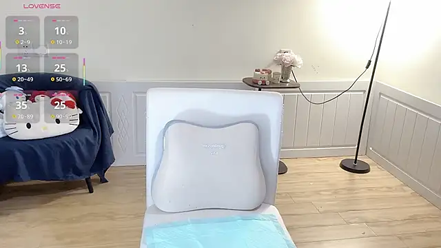Xiao--Lin webcam