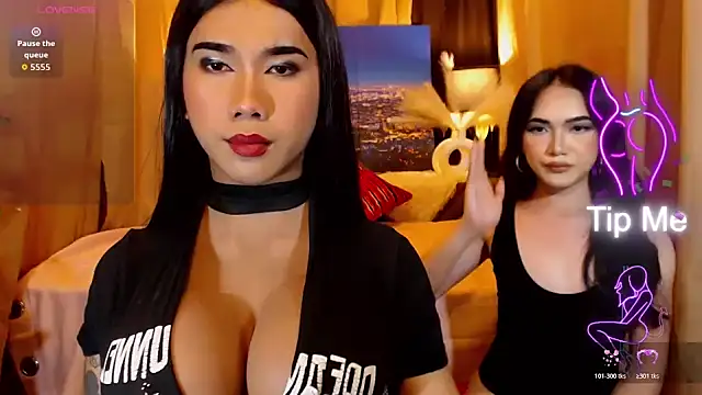 TRANSPORNIDOL webcam