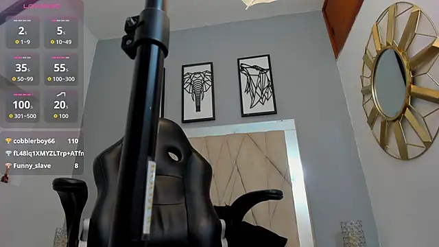 adams_bobby webcam