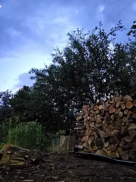 IsabelleCraft webcam