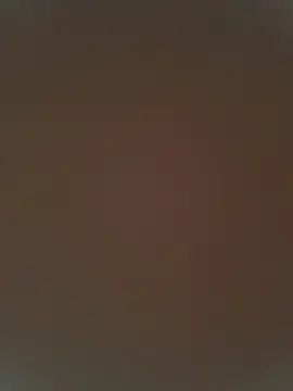 Pfanner_54 webcam