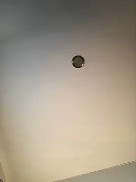 3littles webcam