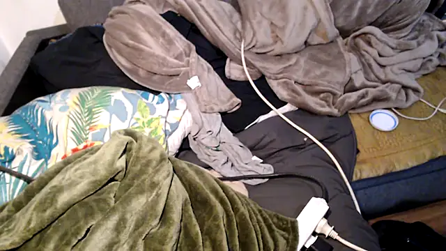 drieghe webcam