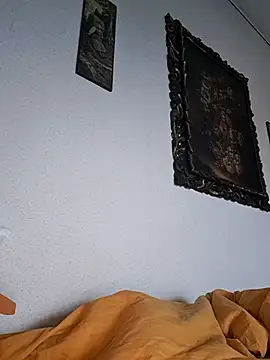 Sony28v webcam