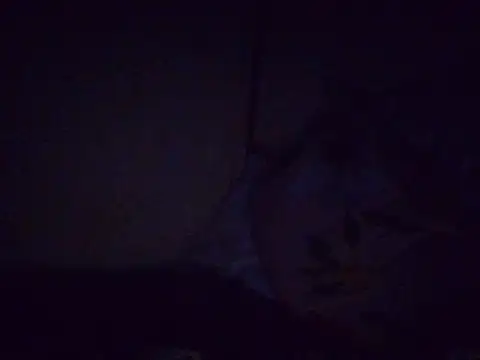 fatpusy002 webcam